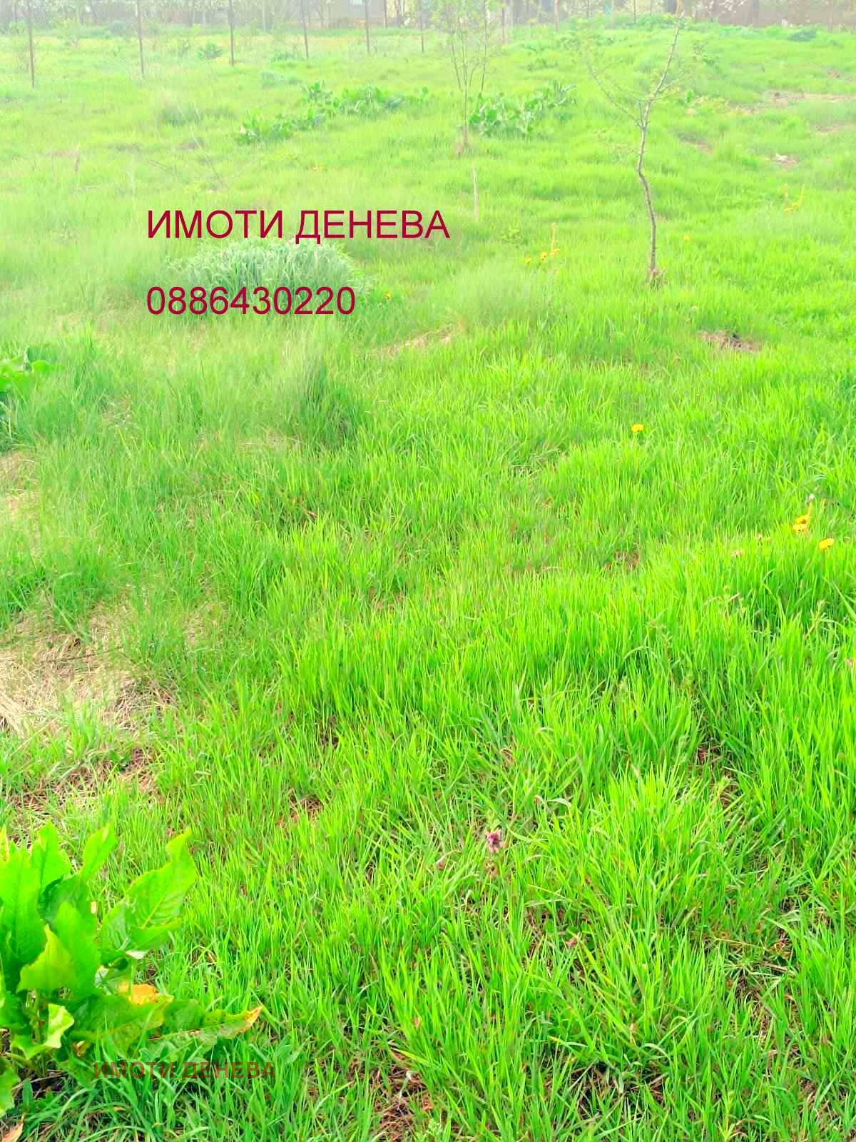 Продава ПАРЦЕЛ, с. Безводица, област Добрич