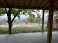 Продава КЪЩА, с. Сърнегор, област Пловдив, снимка 10