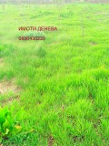 Продава ПАРЦЕЛ, с. Безводица, област Добрич, снимка 1
