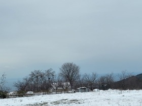 Парцел град Варна, Виница