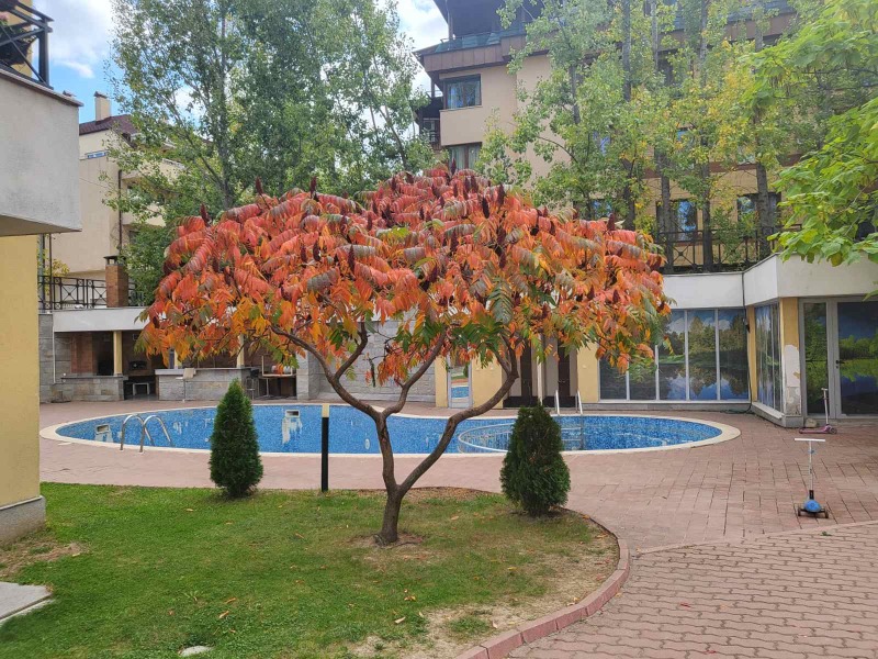 Продава 3-СТАЕН, гр. София, Витоша, снимка 6 - Апартаменти - 53255559