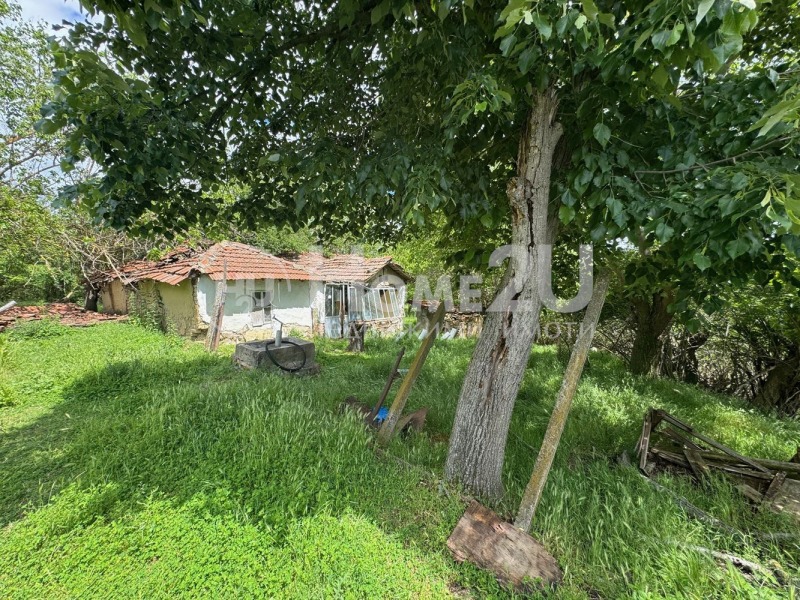 На продаж  Сюжет область Варна , Горен чифлик , 3525 кв.м | 64801898