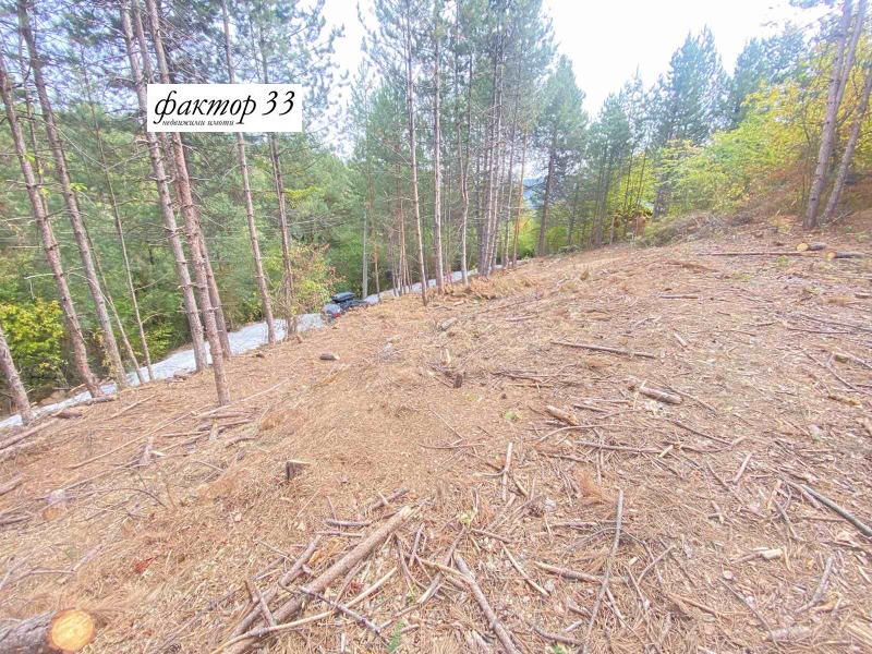 Продава  Парцел град София , с. Панчарево , 2200 кв.м | 72571123 - изображение [2]
