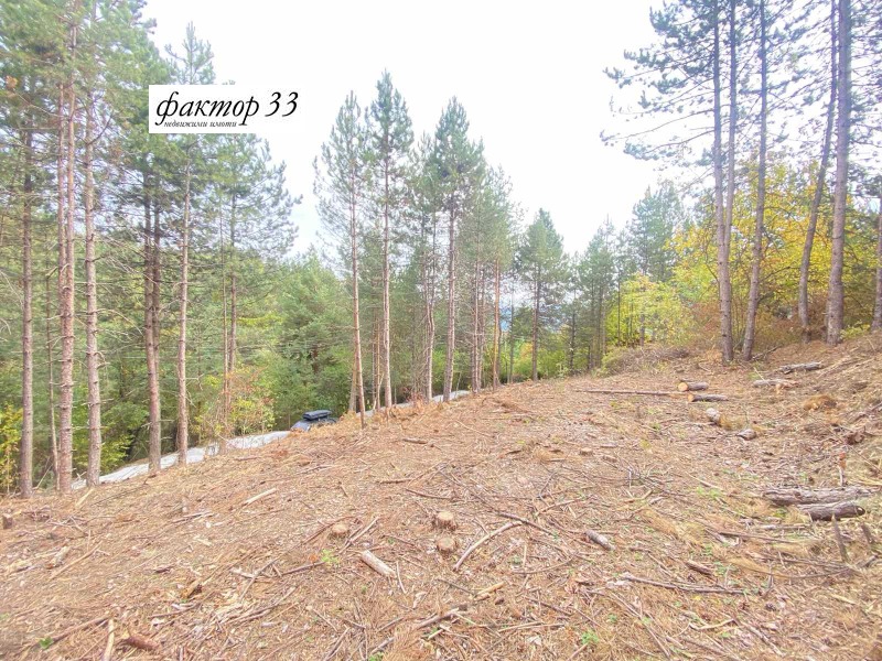 Продава  Парцел град София , с. Панчарево , 2200 кв.м | 72571123