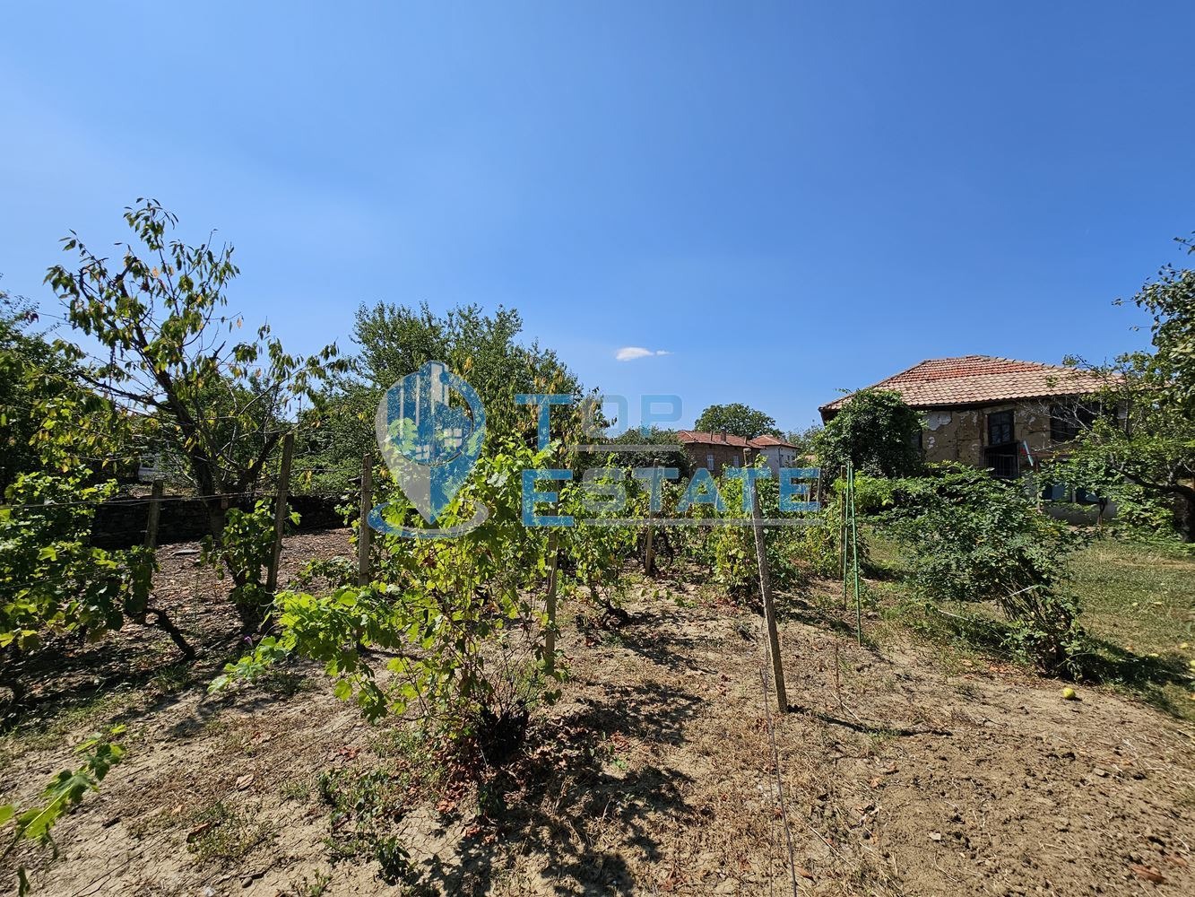 ������� ���� | Imot.bg � ����������� 15