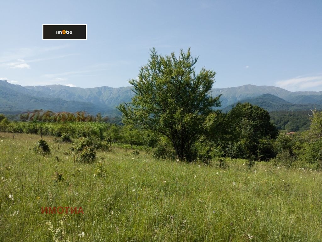 ������� ������ | Imot.bg � ����������� 4