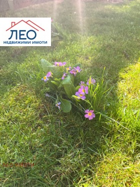 ������� ���� �� ���� | Imot.bg � ����� ������ 13