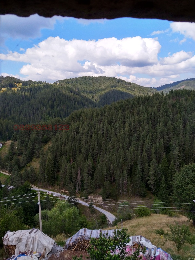 Продава КЪЩА, с. Кутела, област Смолян, снимка 4 - Къщи - 52782506