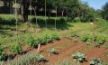 Продава КЪЩА, с. Чупрене, област Видин, снимка 6