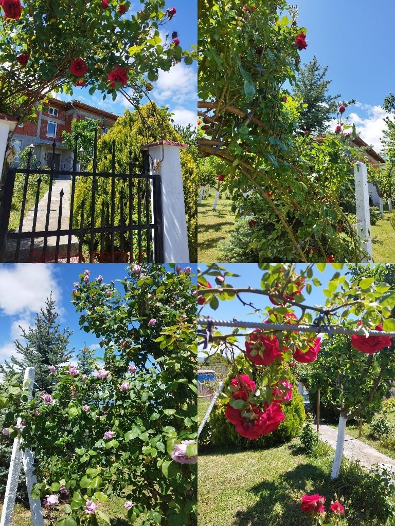 ������� ���� | Imot.bg � ����������� 8