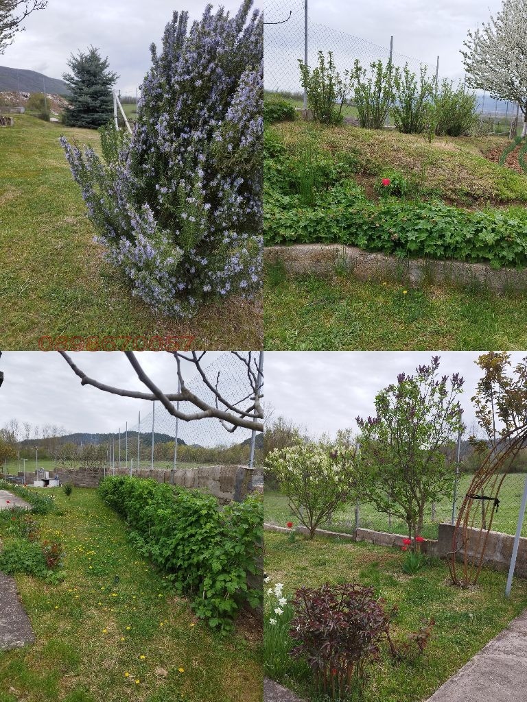 ������� ���� | Imot.bg � ����������� 8