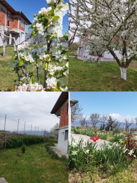 ������� ���� | Imot.bg � ����� ������ 6