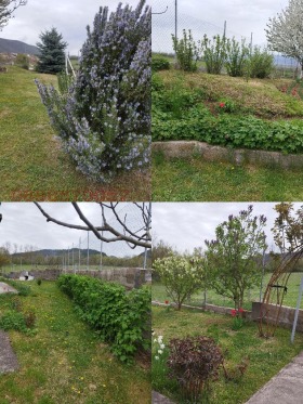 ������� ���� | Imot.bg � ����� ������ 8