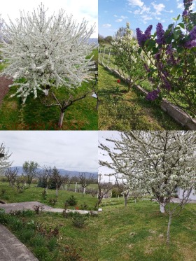 ������� ���� | Imot.bg � ����� ������ 9