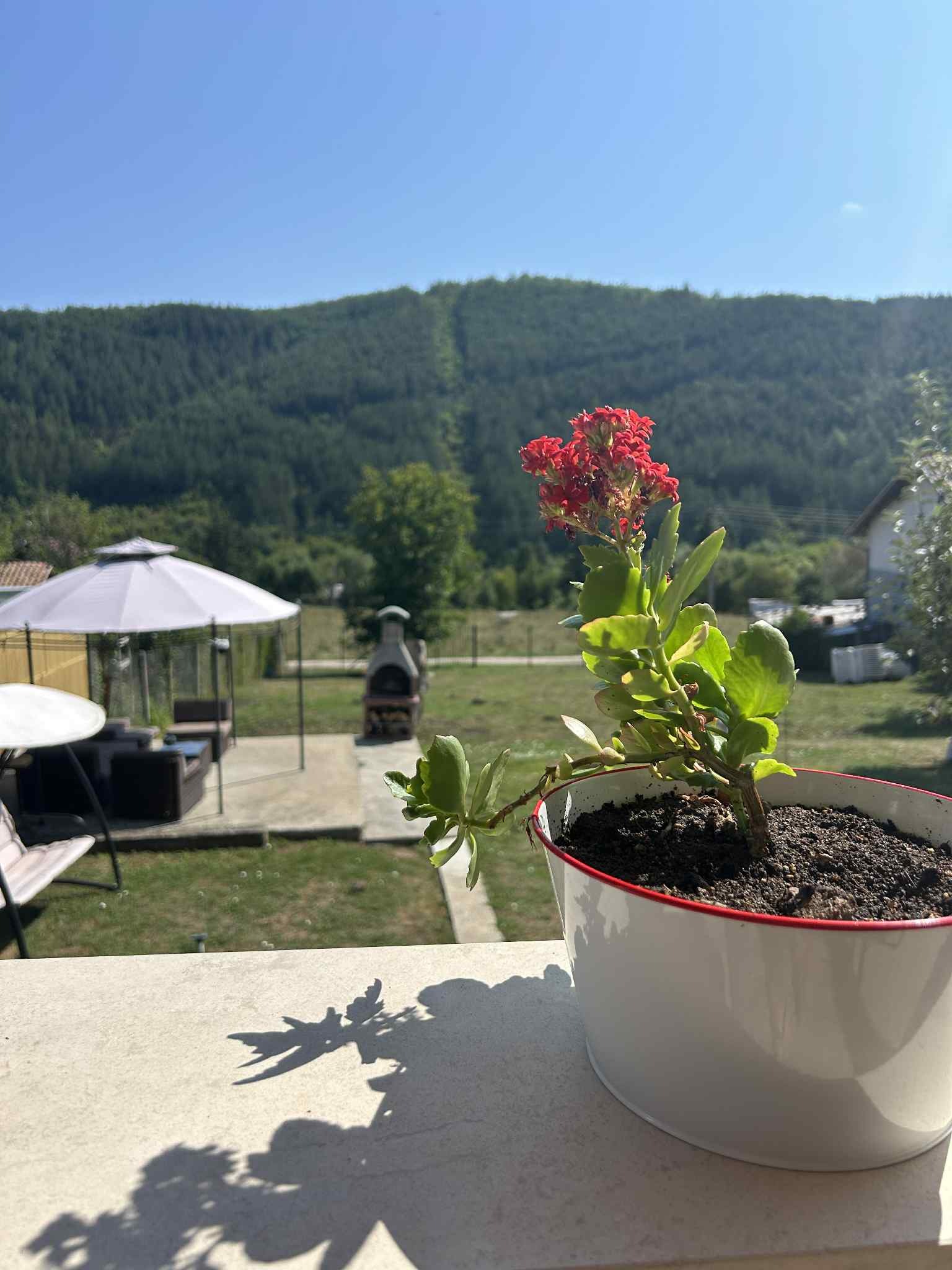 Продава КЪЩА, с. Блатешница, област Перник, снимка 2 - Къщи - 51428238