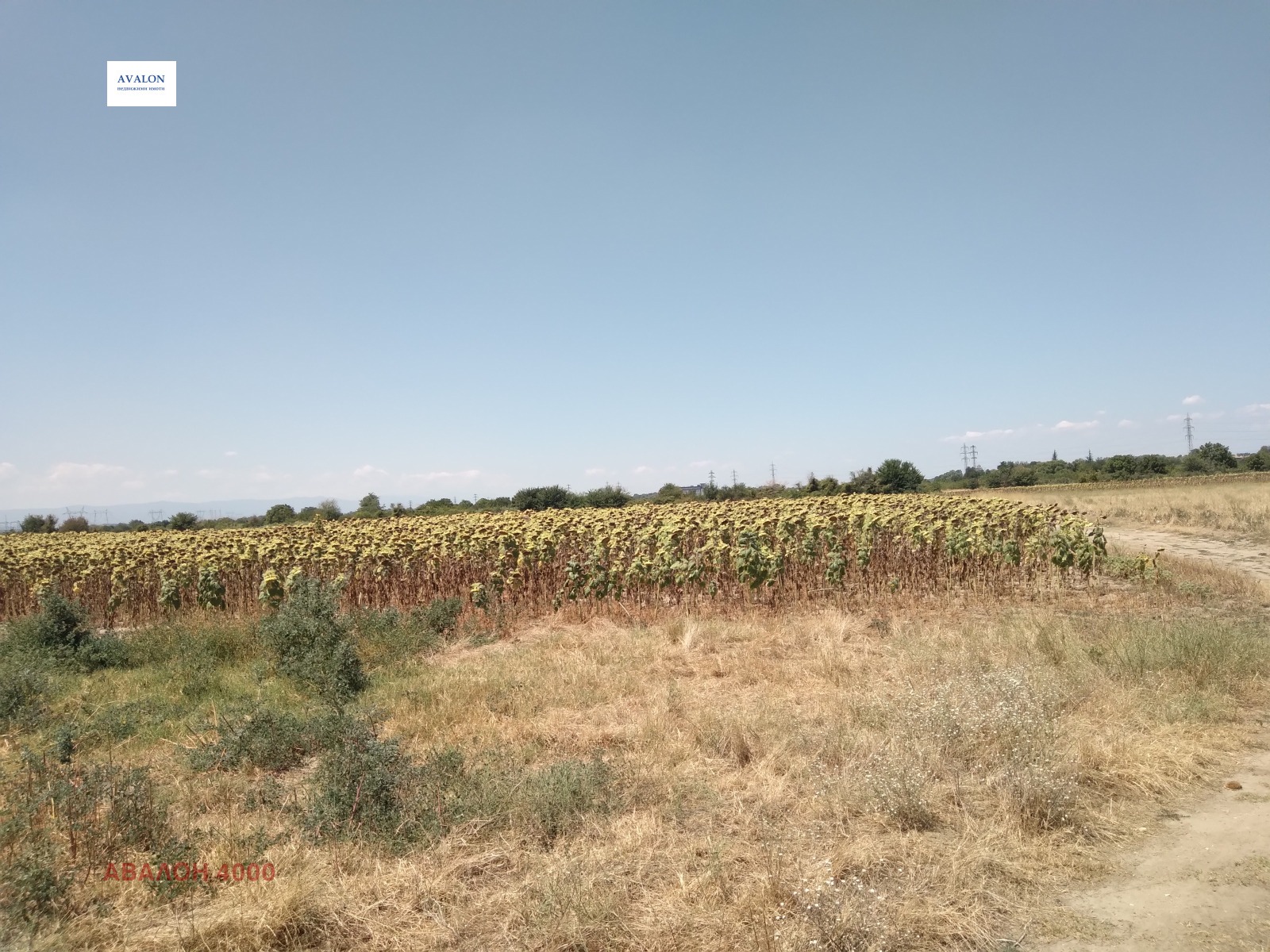 Продава ЗЕМЕДЕЛСКА ЗЕМЯ | Imot.bg — изображение 2