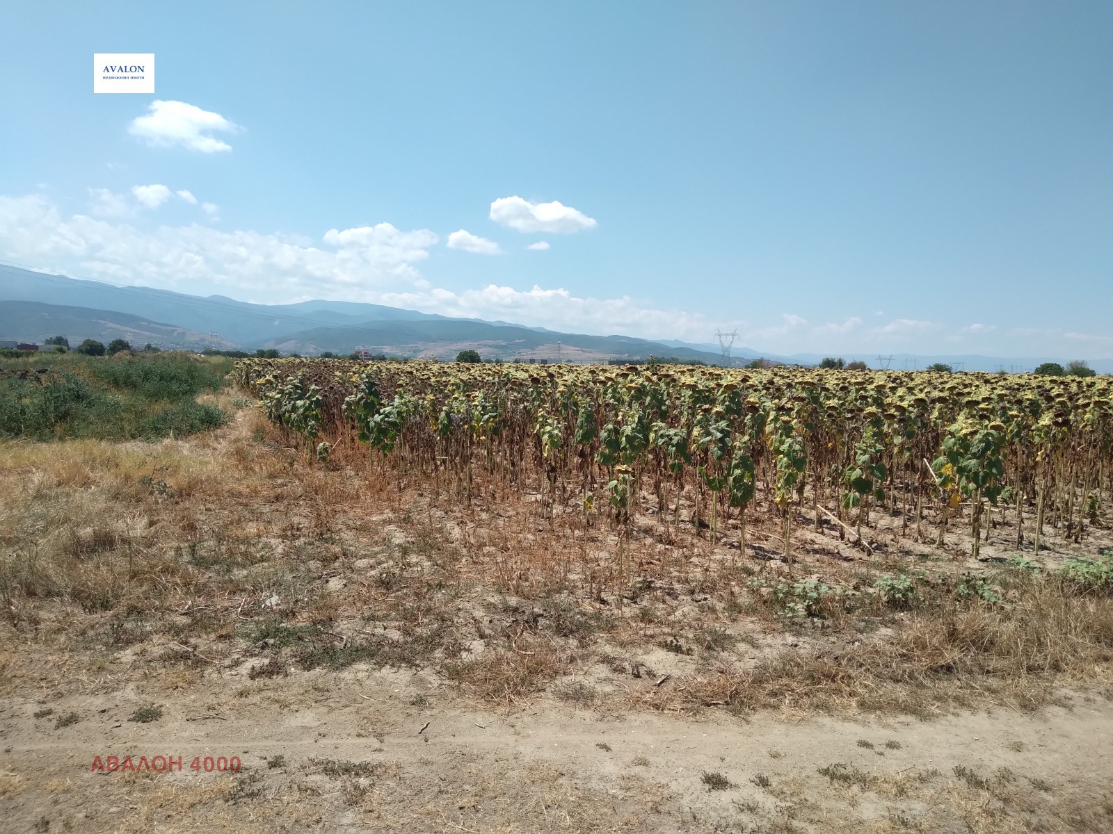 Продава ЗЕМЕДЕЛСКА ЗЕМЯ | Imot.bg — изображение 5