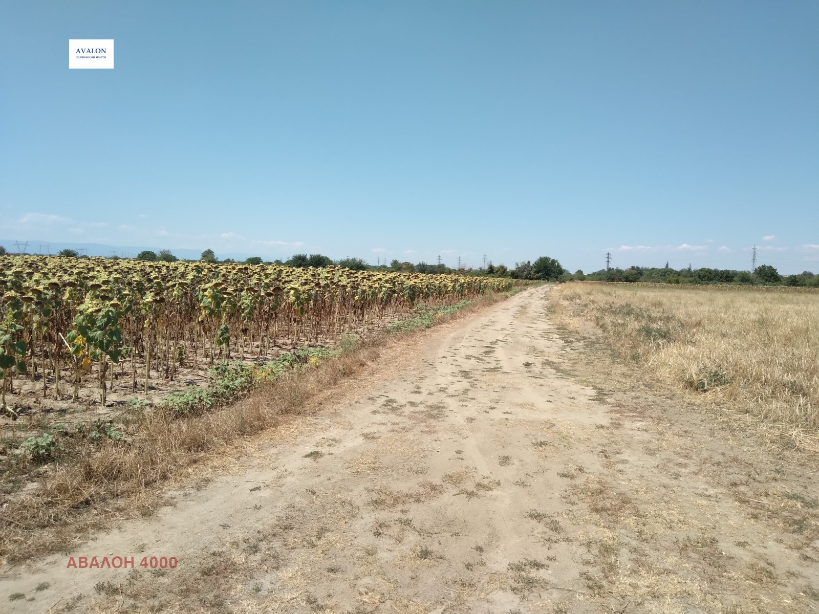 Продава ЗЕМЕДЕЛСКА ЗЕМЯ | Imot.bg — изображение 3