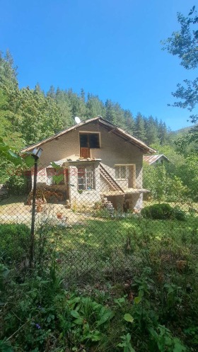 ����� ������� ����,�. ����������, ������ ������