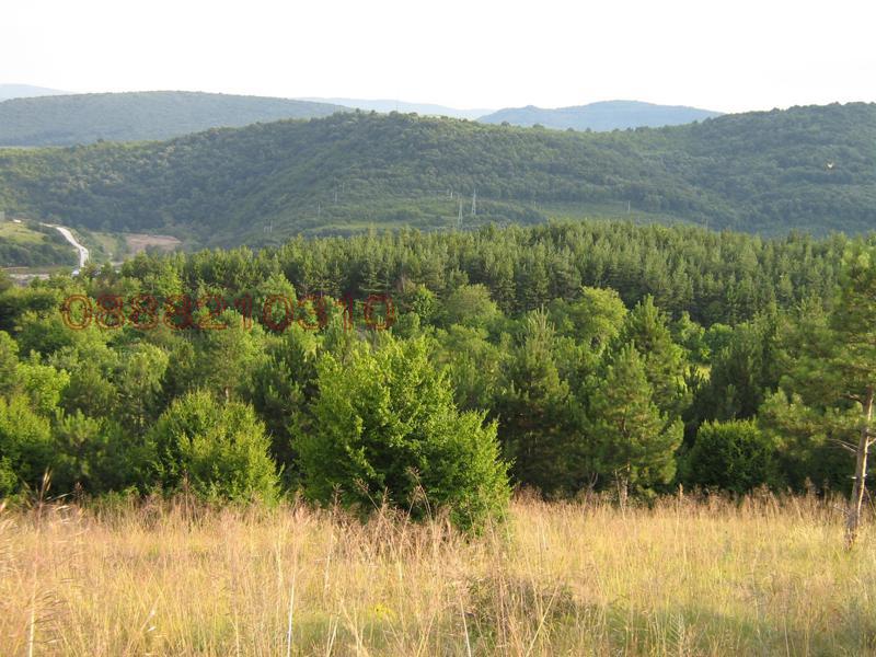 Продава ПАРЦЕЛ, гр. Велико Търново, Бузлуджа, снимка 6 - Парцели - 52782484