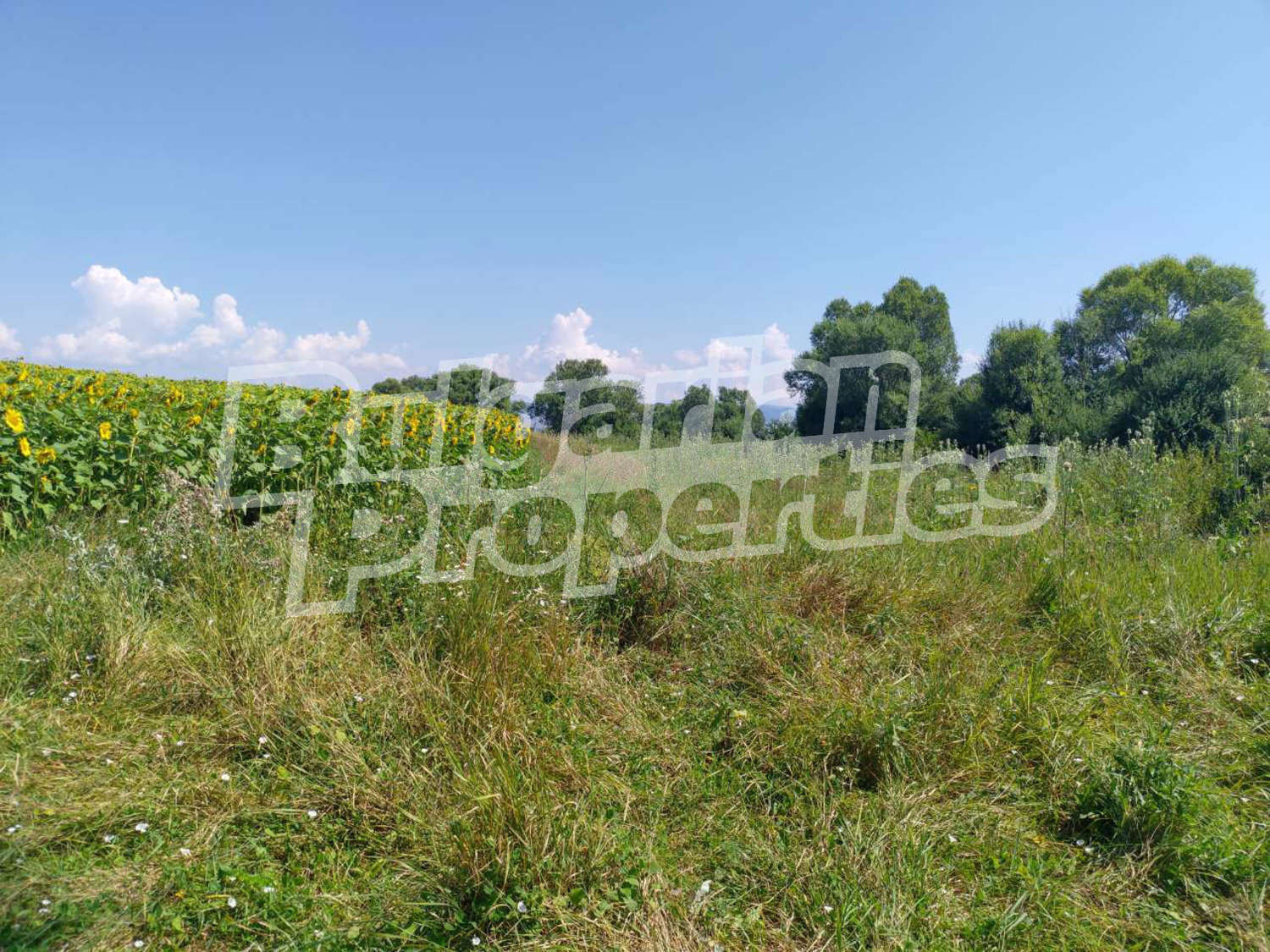 Продава ПАРЦЕЛ | Imot.bg — изображение 3