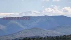 ����� ������� ����,�. �������, ������ �����