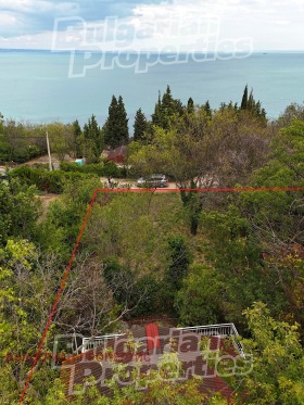 ����� ������� ����,�. �������, ������ ������