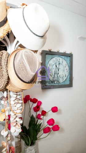 ����� ������� �����,��. �������, ������ ������