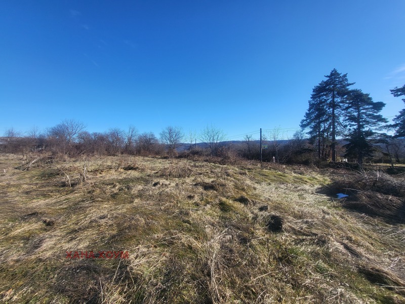 Продава ПРОМ. ПОМЕЩЕНИЕ, с. Борима, област Ловеч, снимка 11 - Производствени сгради - 48866231