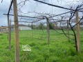 Продава КЪЩА, област Стара Загора, с. Петрово • 28900 € • 59373433 — Holmes.bg