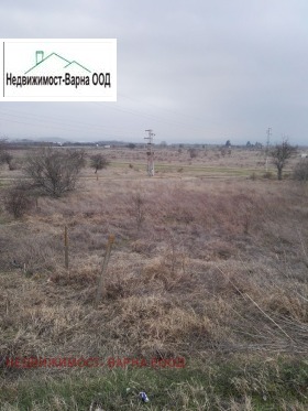 ����� ������� ������,��. ��������, ������ �����