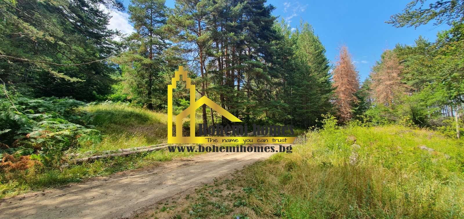 Продава ПАРЦЕЛ, с. Бойково, област Пловдив, снимка 2 - Парцели - 55045007