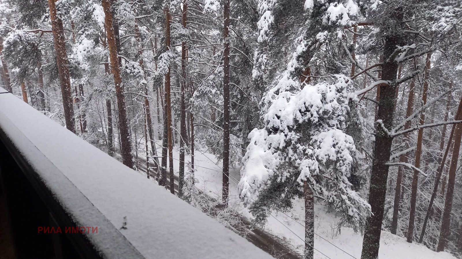 ������� 2-����� | Imot.bg � ����������� 14