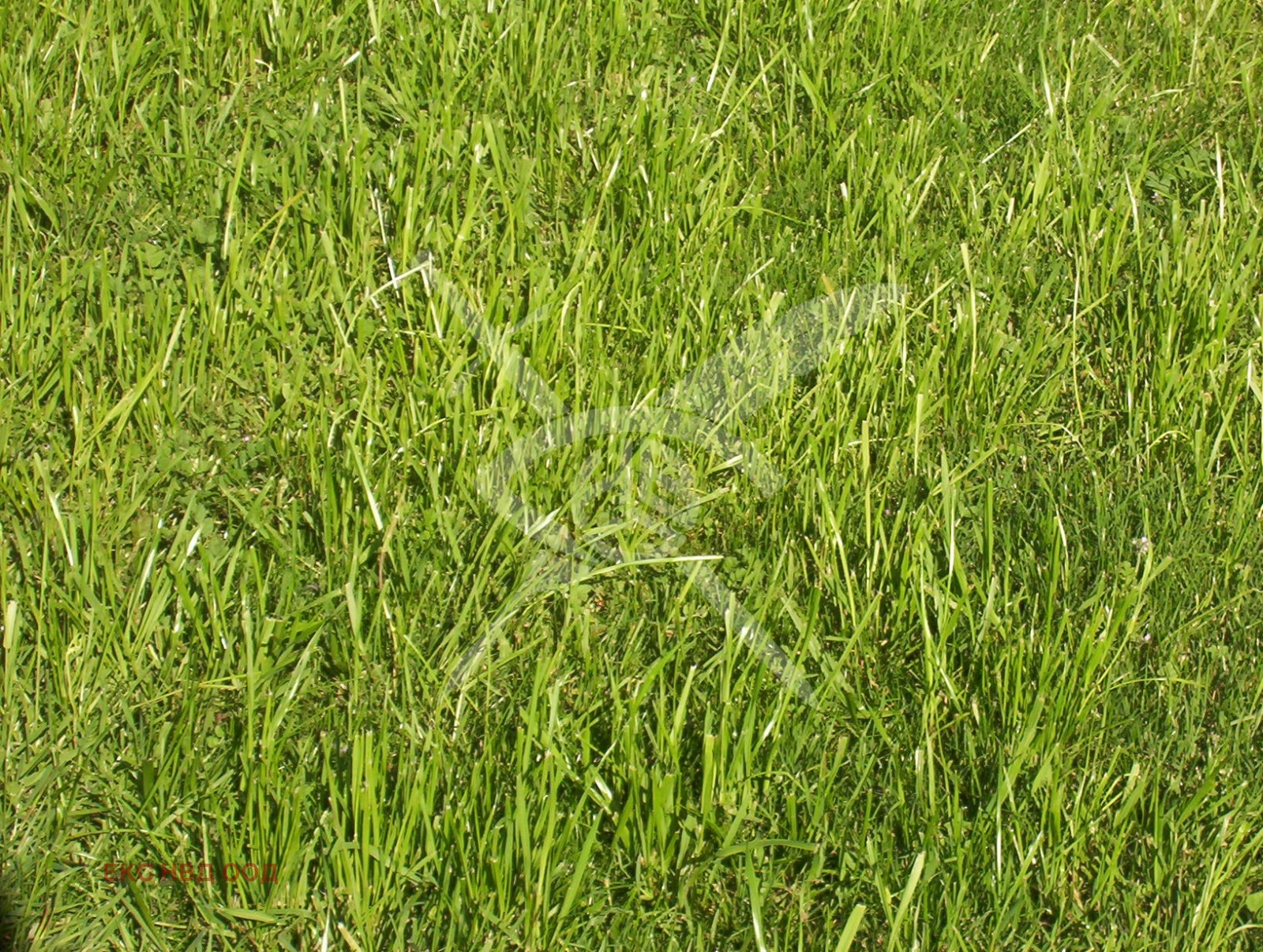 ������� ���������� ���� | Imot.bg � ����������� 1