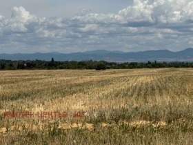 À venda Trama