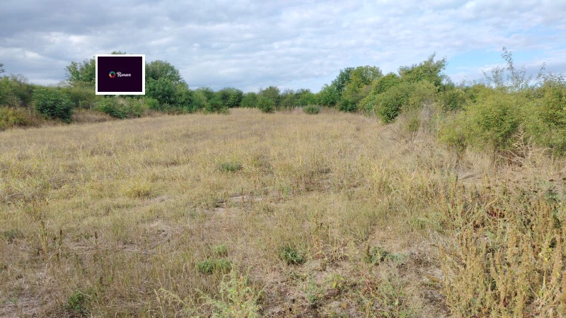 En venta  Trama región Razgrad , Dryanovets , 2090 metros cuadrados | 38062619 - imagen [4]