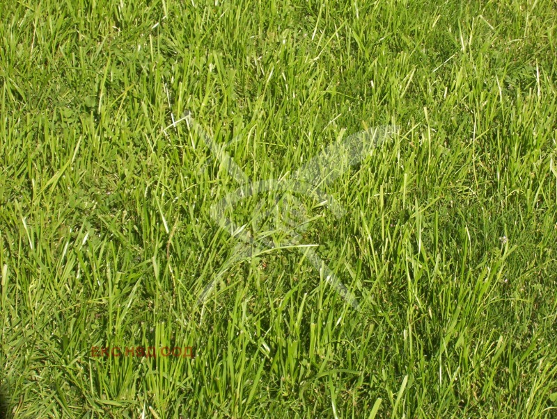 Продава ЗЕМЕДЕЛСКА ЗЕМЯ, с. Цалапица, област Пловдив