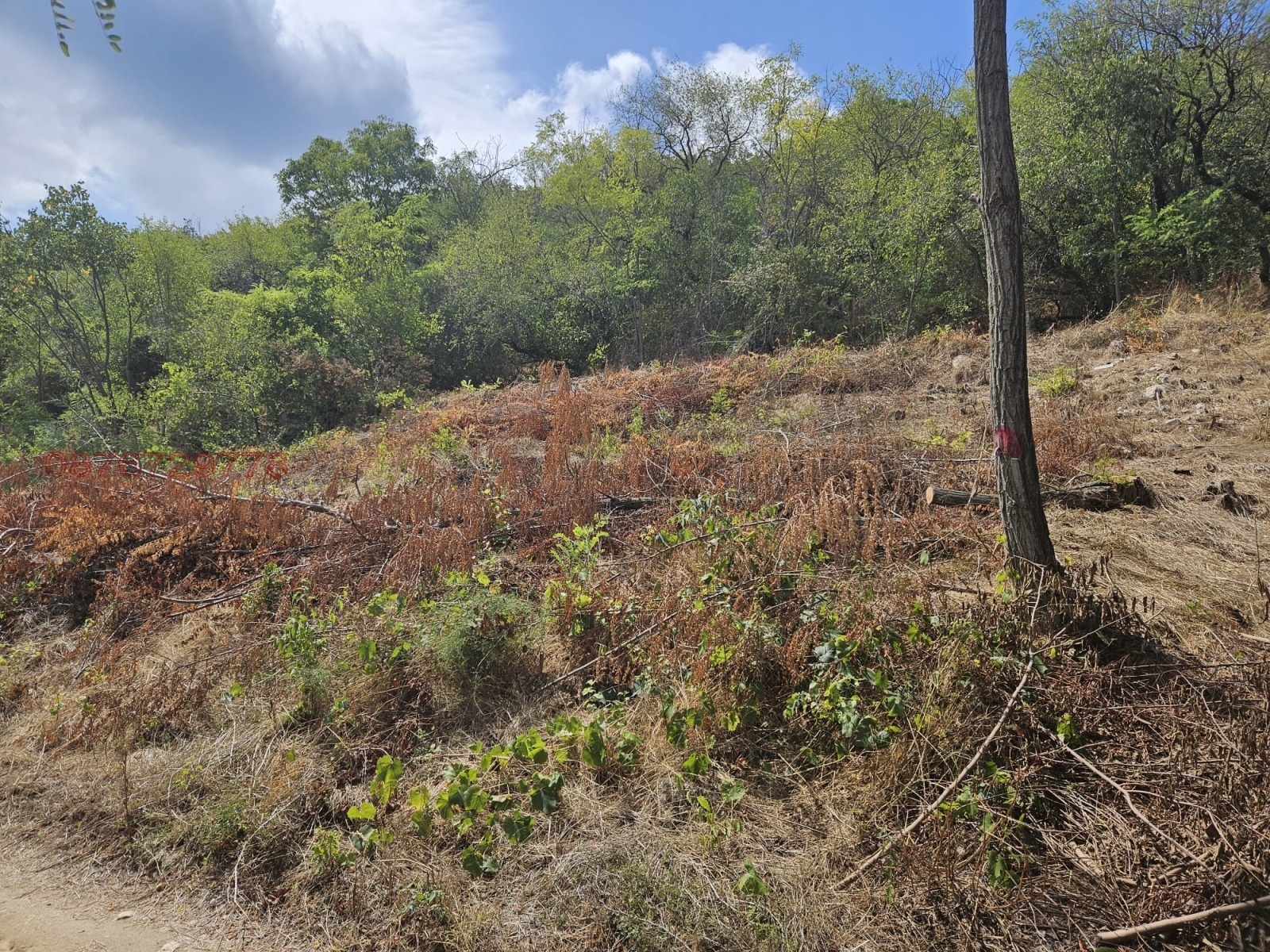 Продава ПАРЦЕЛ, гр. Варна, м-т Горна Трака, снимка 6 - Парцели - 53698647