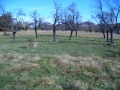 Продава ПАРЦЕЛ, с. Орешак, област Ловеч, снимка 2
