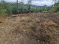 Продава ПАРЦЕЛ, град Варна, м-т Горна Трака • 110000 € • 28652257 — Holmes.bg