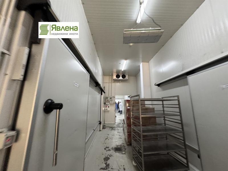 À vendre  Bâtiment industriel région Sofia , Elin Pelin , 876 m² | 31686941 - image [5]