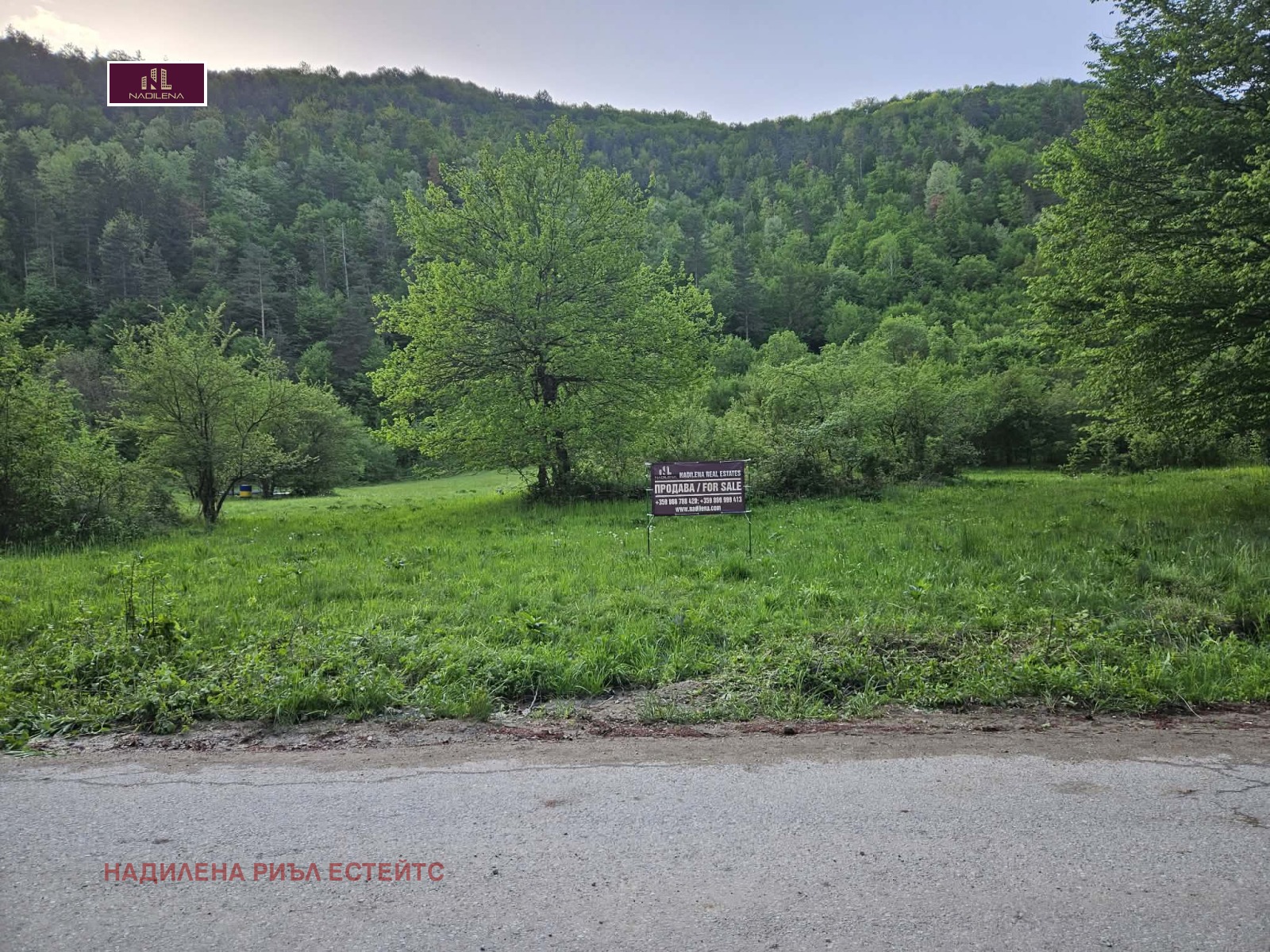 Продава ПАРЦЕЛ, с. Рибарица, област Ловеч, снимка 11 - Парцели - 54755118