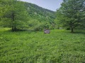 Продава ПАРЦЕЛ, с. Рибарица, област Ловеч, снимка 3