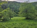 Продава ПАРЦЕЛ, с. Рибарица, област Ловеч, снимка 7