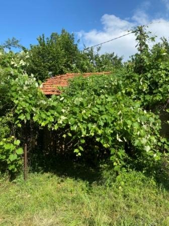 Продается  Дом область Перник , Студена , 36 кв.м | 18467807 - изображение [3]