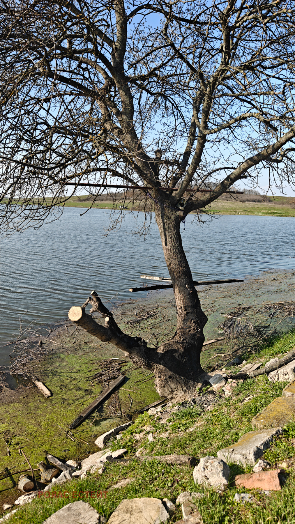 Продава ЗЕМЕДЕЛСКА ЗЕМЯ, гр. Гълъбово, област Стара Загора, снимка 4 - Земеделска земя - 53869203