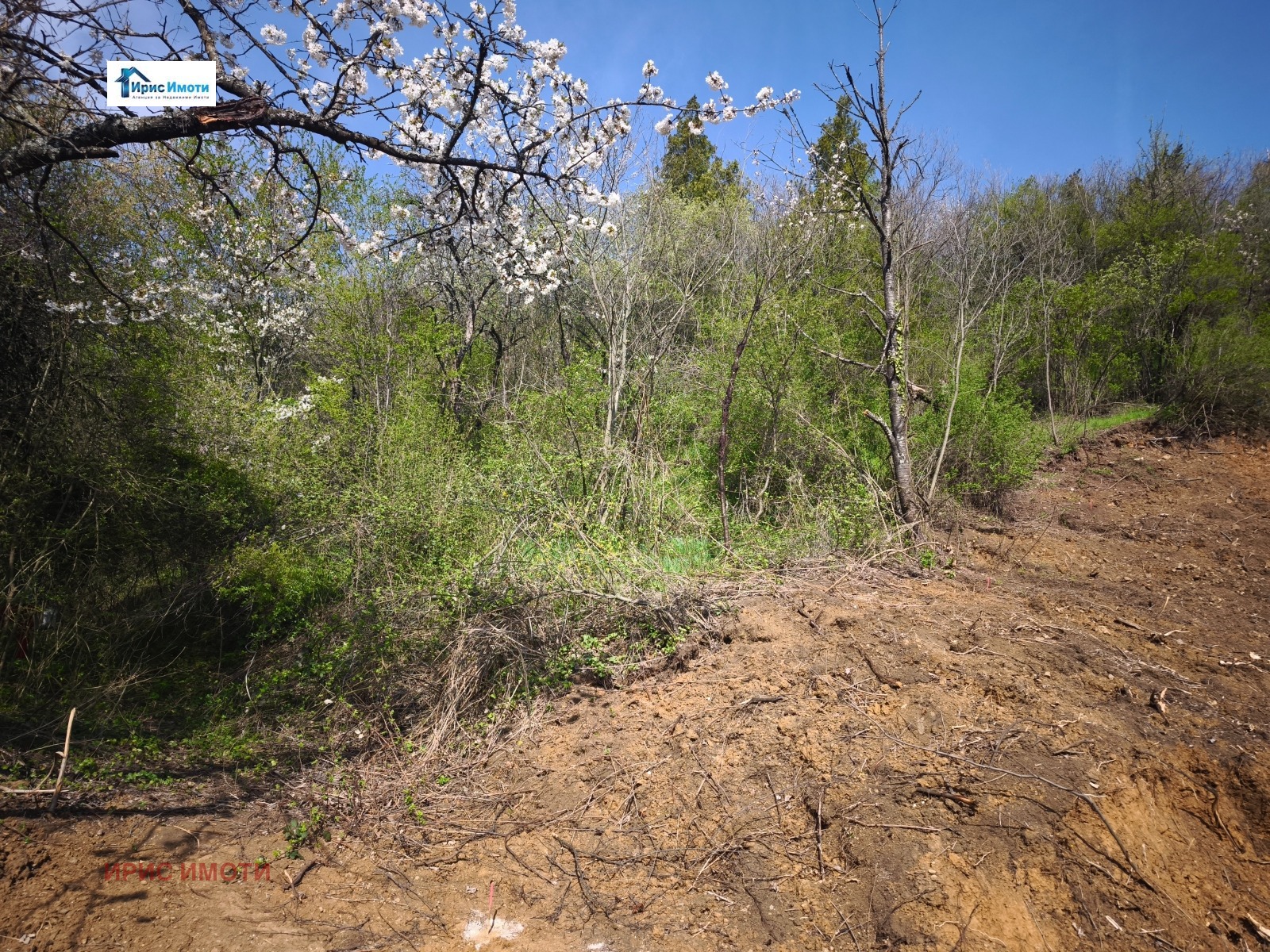 ������� ������ | Imot.bg � ����������� 2