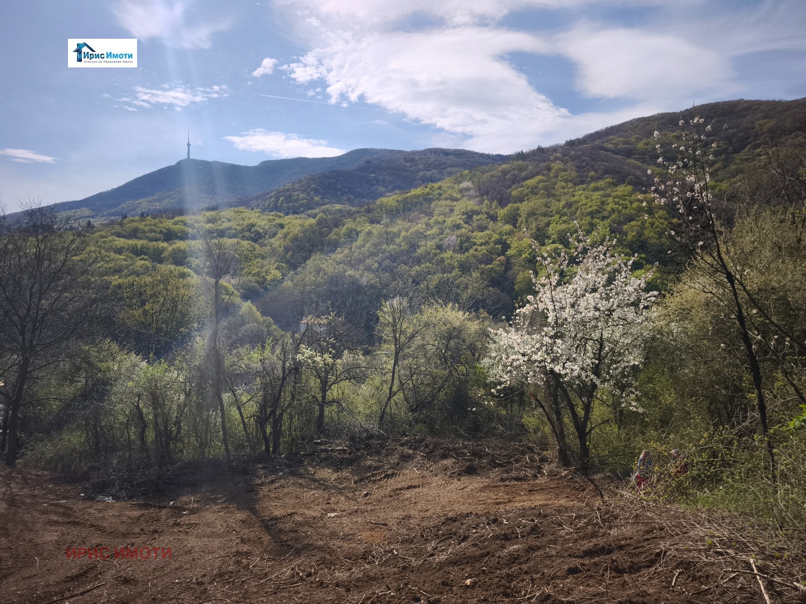 ������� ������ | Imot.bg � ����������� 1