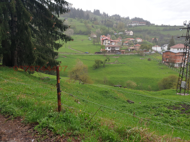 Продава ЗЕМЕДЕЛСКА ЗЕМЯ, с. Гела, област Смолян