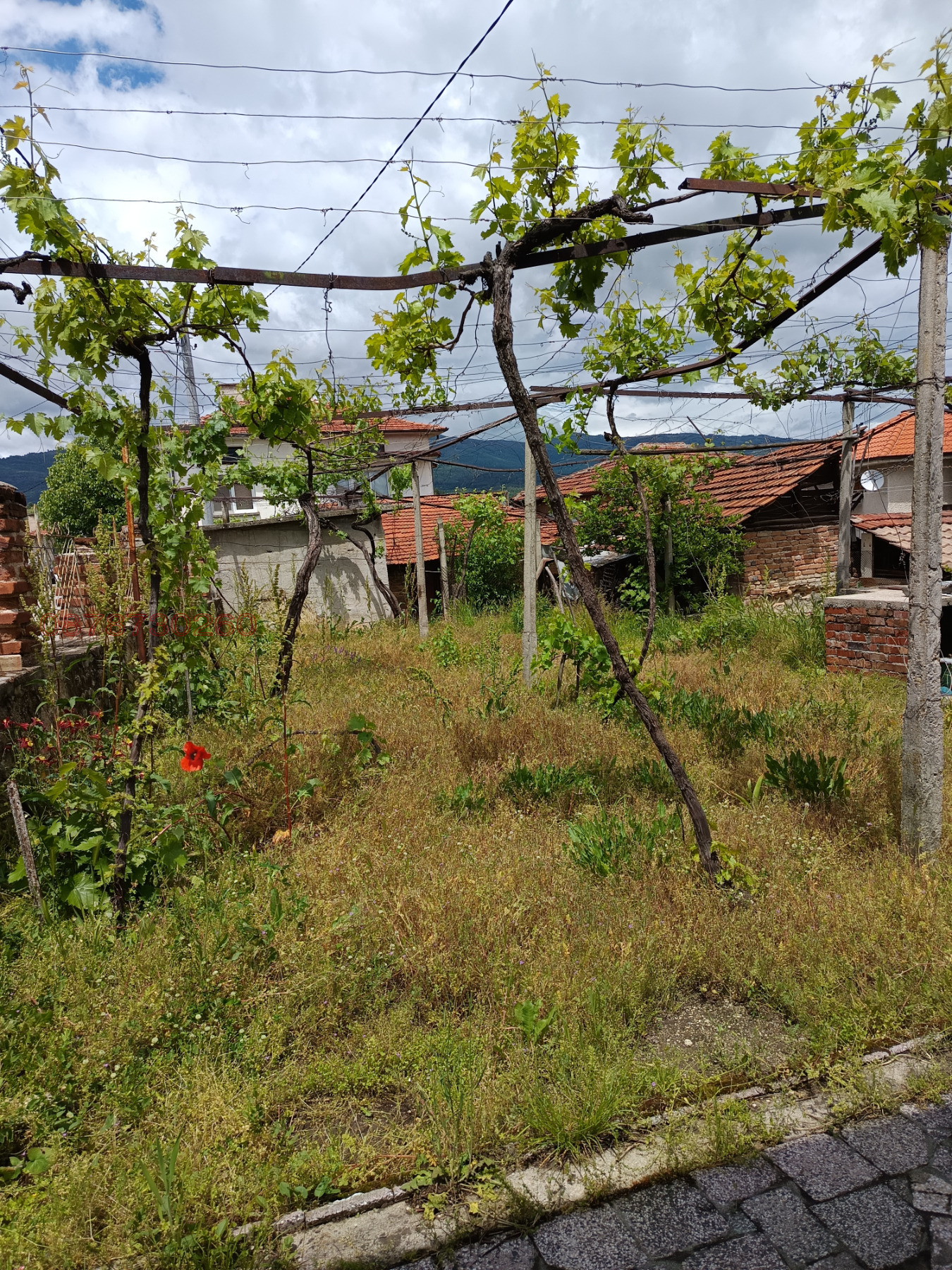 Продава КЪЩА, гр. Стрелча, област Пазарджик, снимка 4 - Къщи - 54663812